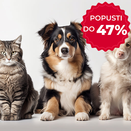 Kućni ljubimci