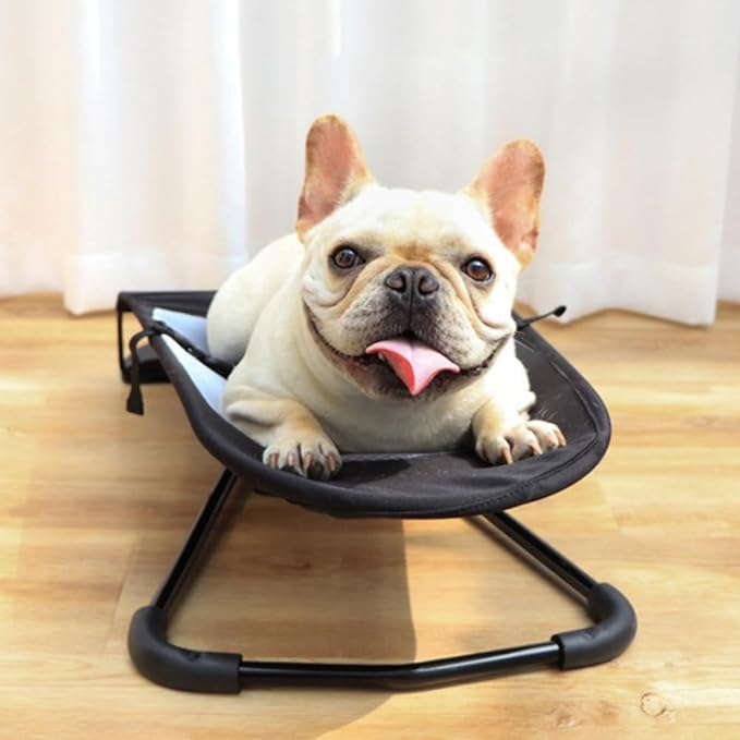 Ljuljaška za Pse PAWSWING